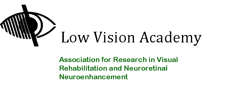 Low Vision Academy EN